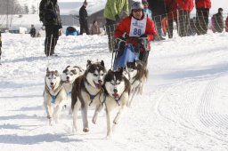 Lenk 2012 SM